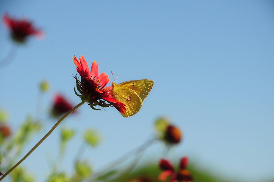 Unlocking Value: Tips for Selling Your Car Fast and for More