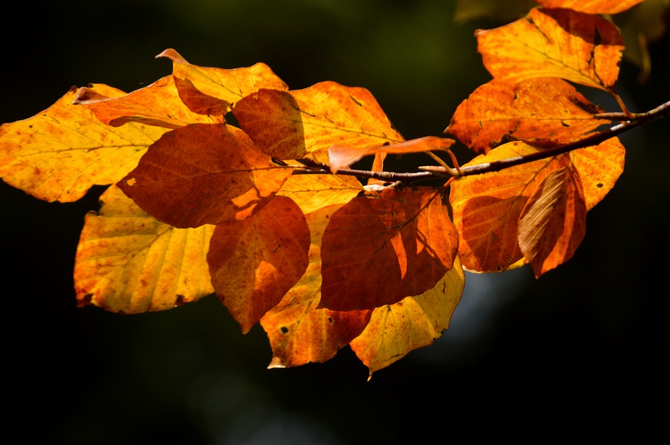 Unlocking the Secrets: How to Successfully Sell Your Car Fast