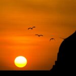 Your Ultimate Guide to the Best Car Showrooms in [Your City]