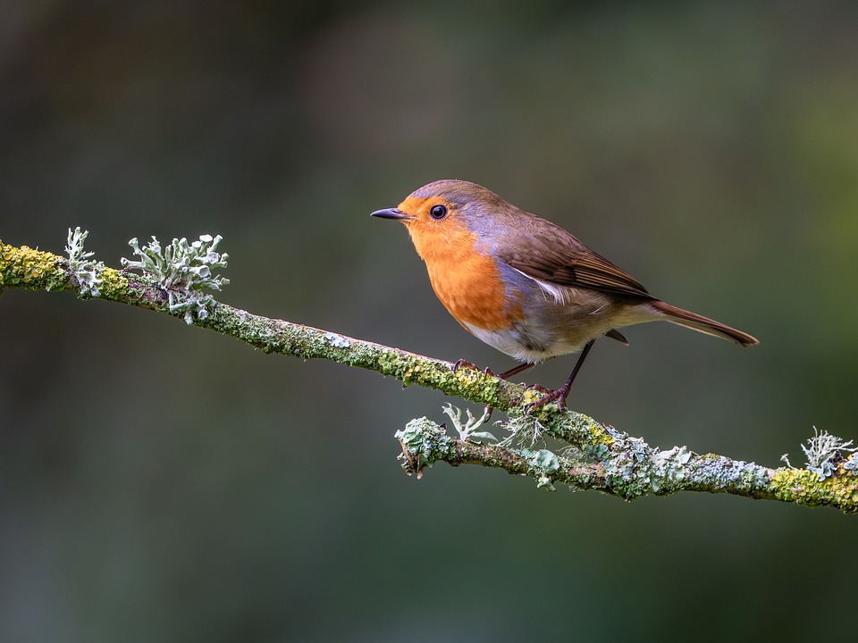 Don’t Let a Flat Tire Ruin Your Day: Quick Fixes Near You!