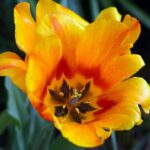 From Blueprint to Road: Your Ultimate Guide to Building a Custom Car