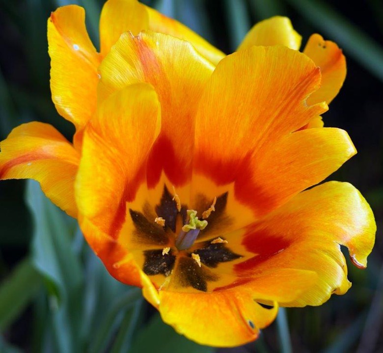 From Blueprint to Road: Your Ultimate Guide to Building a Custom Car