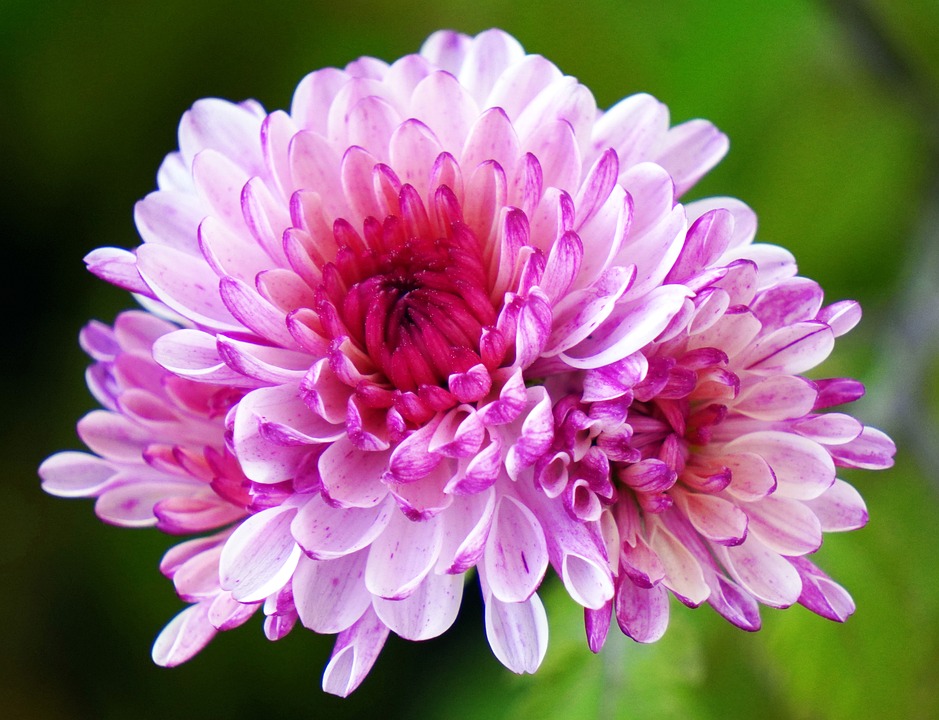 Maximize Your Car’s Lifespan: Essential Autocare Tips You Need to Know