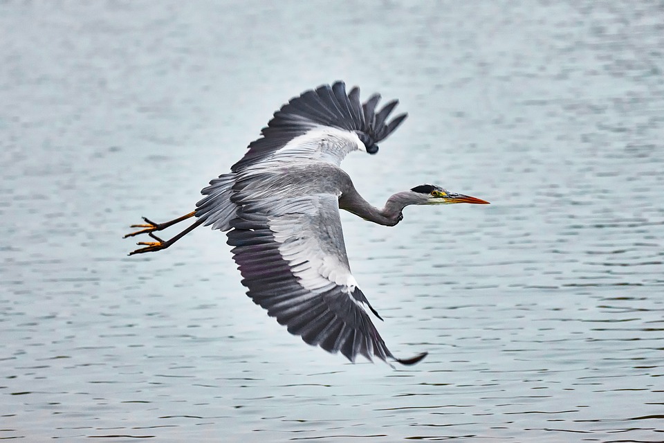 Navigating the Future: Essential Tips for Smart Car Repairs