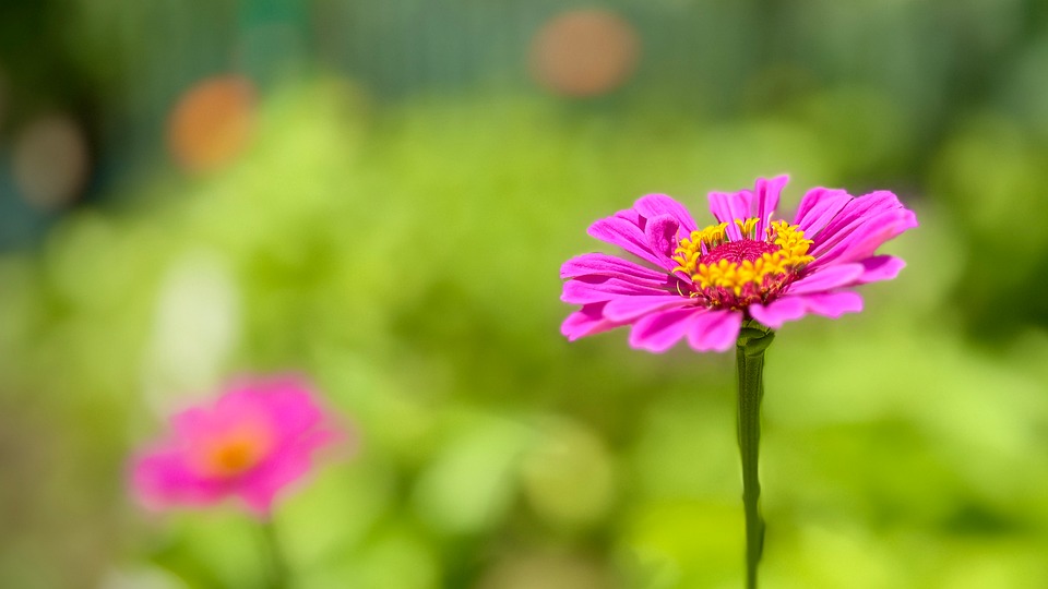 Navigating the Trade-In Process: Tips for Getting the Best Value for Your Car