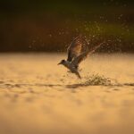 Rev Up Your Knowledge: What to Look for in a Reliable Auto Repair Shop