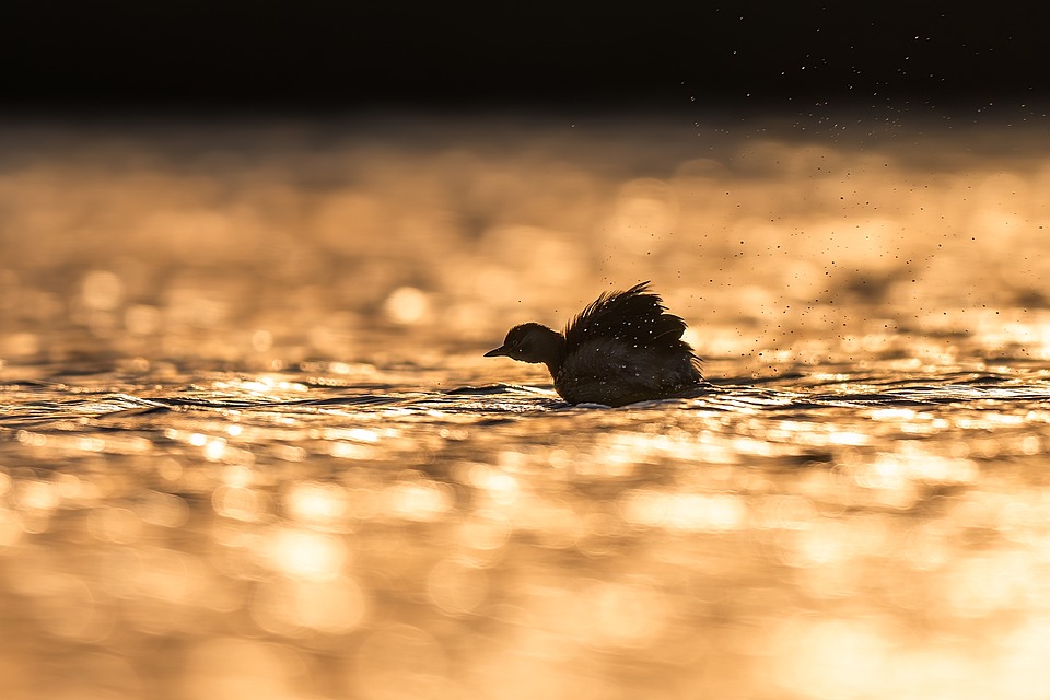 Rev Up Your Ride: Essential Car Care Tips for Every Driver