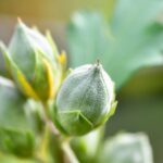 “Rev Up Your Ride: Top Automotive Services Near You”