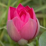 Rev Up Your Savings: Discover the Best Used Car Deals Near You!