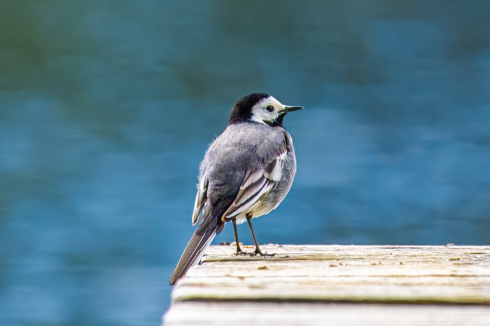 Rev Up Your Search: The Best Car Lots Near You!