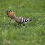 Rev Up Your Search: Top Auto Car Lots Near You!