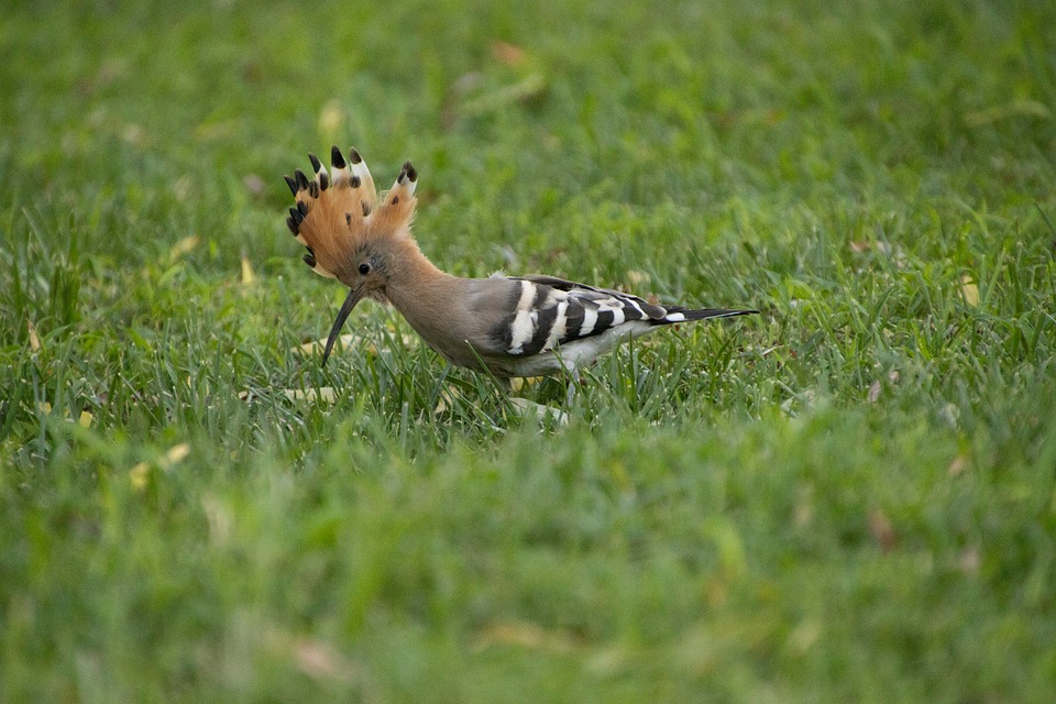 Rev Up Your Search: Top Auto Car Lots Near You!