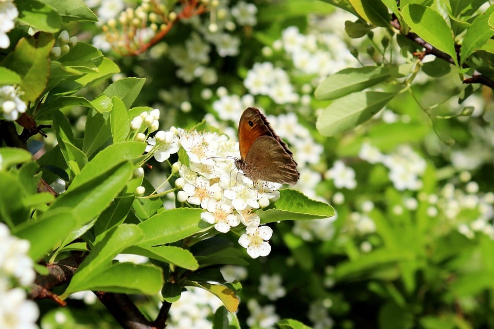 Reviving Rides: The Secrets Behind Expert Car Body Repairs