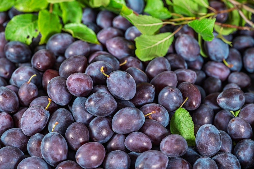 Revving Up Reliability: Your Guide to Choosing the Right Auto Repair Shop