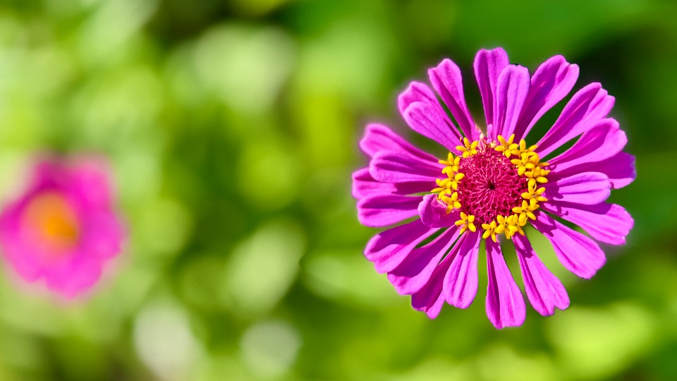 Streamline Your Ride: The Ultimate Guide to Online Car Registration